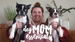 HOW TO TRIM DOG NAILS & ESSENTIAL PRODUCTS for HEALTHY HAPPY DOGS | Boston Terriers | APRIL 2020