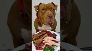 Today&#39;s meal #asmr #animalsmuckbang #dog #mukbang #rawfeed #pitbull #eatinsounds #rawfood
