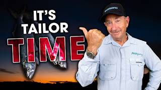 This is the PERFECT TIME to Catch Tailor!
