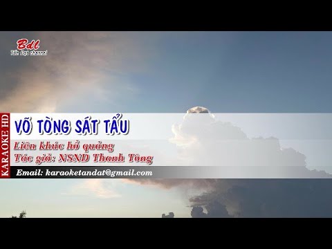 Karaoke Liên khúc hồ quảng 43 || Võ Tòng sát tẩu | NSƯT Vũ Linh - NS Tài Linh