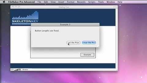 Dialog Fun in FileMaker