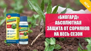 🎯 Гербициды инсектициды список популярных препаратов