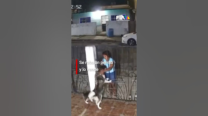 Mujer capturada en video robando un perro de una casa en Tampico