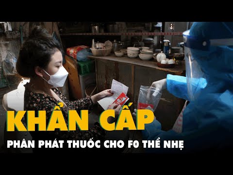 Video Hà Nội cấp phát khẩn 200.000 viên Molnupiravir điều... - YouTube