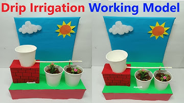 drip irrigation working model using paper cups and pipes - diy - diypandit | DIY pandit