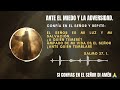 DECRETO PODEROSO PARA VENCER EL MIEDO.  #dios #paz #palabradedios #diosteprotege #diostecuida #fe
