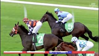 UNIT FIVE (AUS) | MAGIC MILLIONS 2YO CLASSIC LISTED 2026