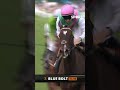 Blue Bolt (5/2) lands the Duke of Cambridge Stakes with a strong finish at Ascot