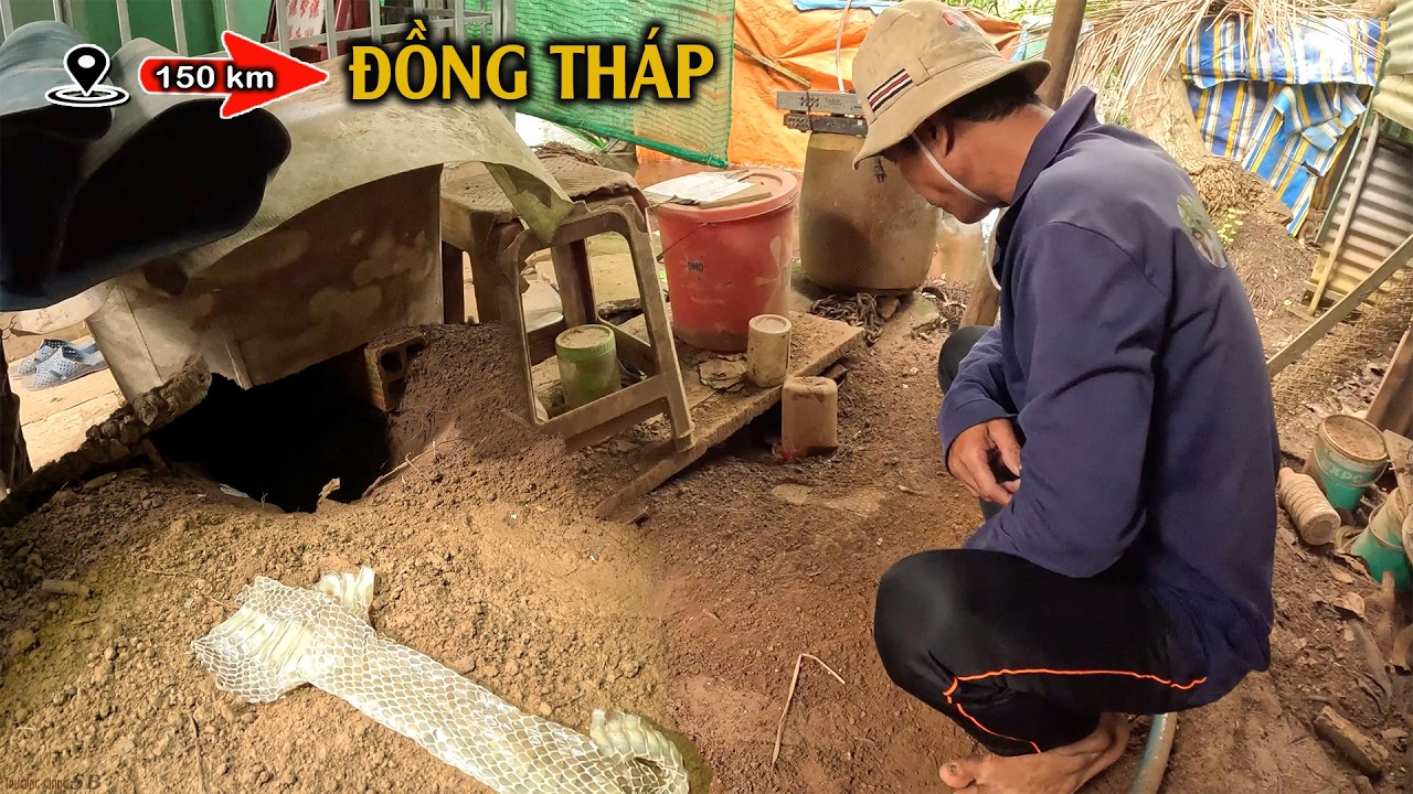 Lại Xuất Hiện Vảy Rắn Ở Địa Điểm Rắn Cắn Ch..ết Người | TGSB #1142