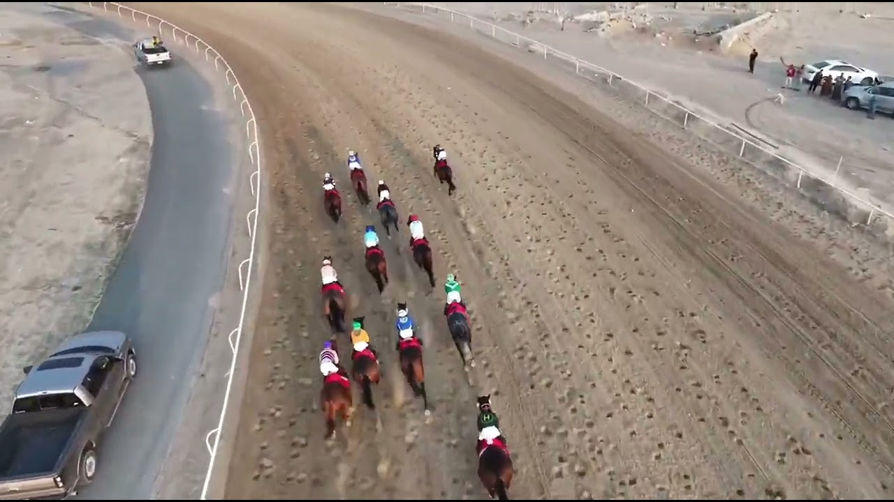 الأجتماع (10) الشوط (5) الجواد العريب  أسطبل سلطان سعد العجمي