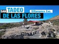 SAN TADEO DE LAS FLORES Villanueva Zacatecas