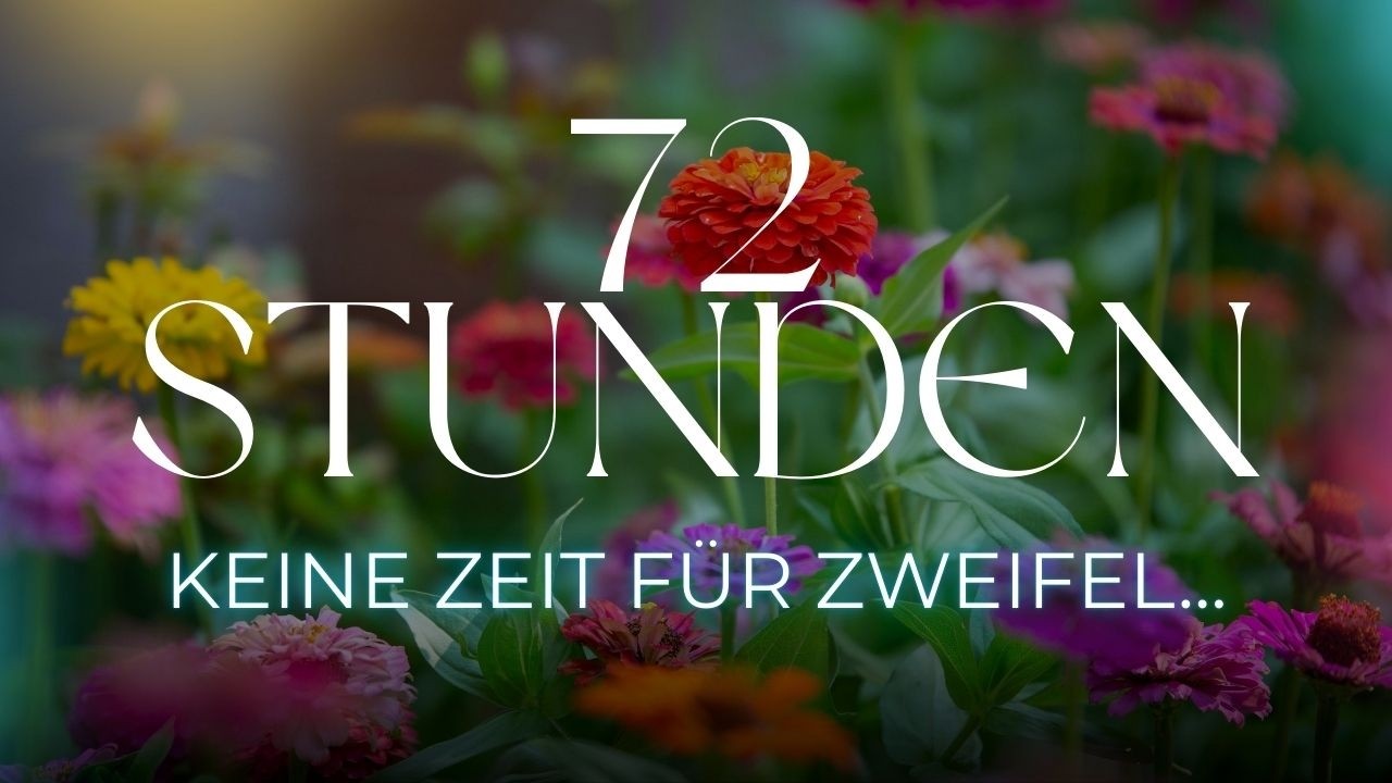 Die kommenden 72 Stunden ✦ Klare Entscheidung | Neue Wege | Du bekommst Hilfe
