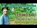 Cara merawat pohon durian agar cepat berbuah