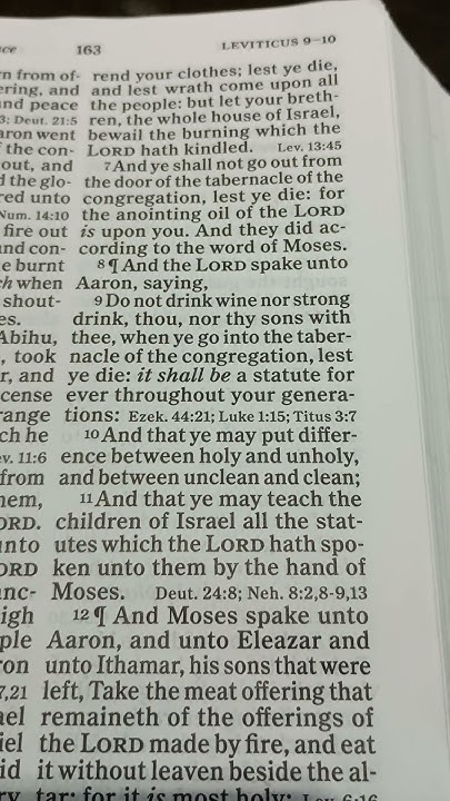 the-holy-bible-as-shorts-leviticus-chapter-10-verse-8-11