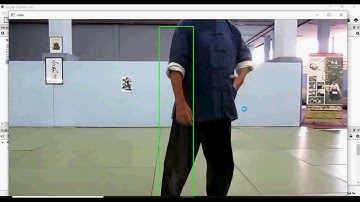 Fall Detection and Activity Recognition Using Human Skeleton Features
