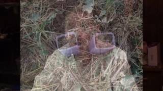 Does tillage relieve soil compaction or cause it - Part II