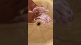 Corrente Moeda Antiga - Limpeza Rápida E Fácil