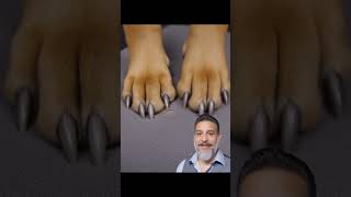 Pet Hair in Cloth Seats? Leather Seats Clean Easier | Leatherteck Install