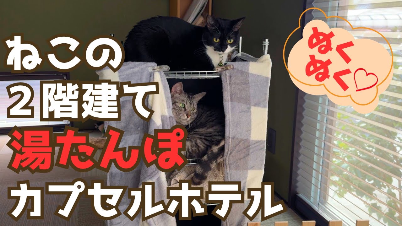 【DIY】あったか2階建て！湯たんぽで電気いらずの猫カプセルホテル作ってみた🐾