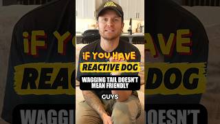 A Wagging Tail Does NOT Always Mean a Friendly Dog
A wagging tail does not automatically mean your dog is friendly.
I want you looking at the entire dog. Body tension, ears, mouth, eyes, posture, and everything happening around them.
Never make a behavioral decision based on the tail alone.
Follow for more dog training tips. A Wagging Tail Does NOT Always Mean a Friendly Dog