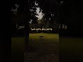سيأتيك الذي ترجوه يوما فلا تعجل عليه وان تأخر فصحى شعر مستر بیست لايك كومنت تعليق صوتي 