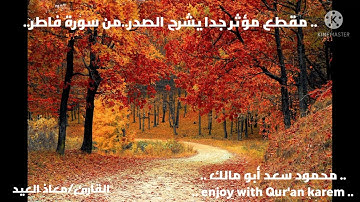 القارئ/معاذ العيد..فى تلاوة مؤثرة وخاشعة لآيات من سورة فاطر