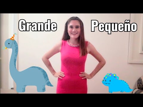 Video: ¿Cuál es la definición de un objeto pequeño?