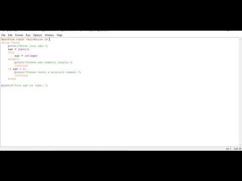 perform input validation in Python - YouTube