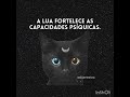 @A magia da vovó.Fato real.