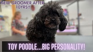 SHE HAS A 10yr TOY POODLE LOOKING FOR A NEW GROOMER!!