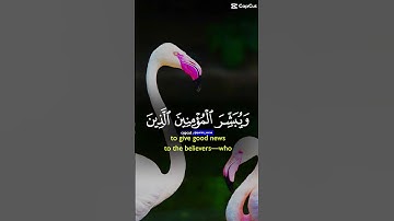 قران كريم 💝💝 #اكسبلور #المصحف #تيك_توك #elmulquranعلم #لايك #دويتو #الرحمن #duet