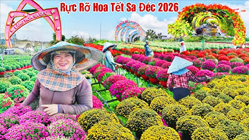 Rực Rỡ Chợ Hoa Tết Sa Đéc 2026 Đồng Tháp Ngàn Hoa Khoe Sắc