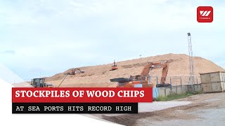 Stockpiles of wood chips at sea ports hits record high | VTV World