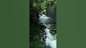 Lắng nghe âm thanh của thác nước giữa khu rừng nguyên sinh