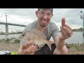 fishing with hot dogs as bait catches 50 Fish in 1 hour