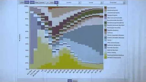 Global Burden of Disease Study 2010: Video 8 - DayDayNews