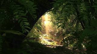 Crysis Remastered – Official Teaser Cryengine 5.6 Tech Demo