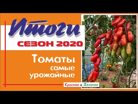 Томаты 2020. Самые урожайные сорта этого сезона