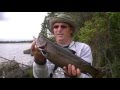 Truite mouchete de 4 5 lbs brook trout