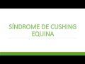 PRINCIPAIS ALTERAÇÕES HOMONAIS EM EQUINOS PRINCIPAIS ALTERAÇÕES HOMONAIS EM EQUINOS