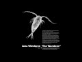 Jana winderen  the wanderer 2016 full album