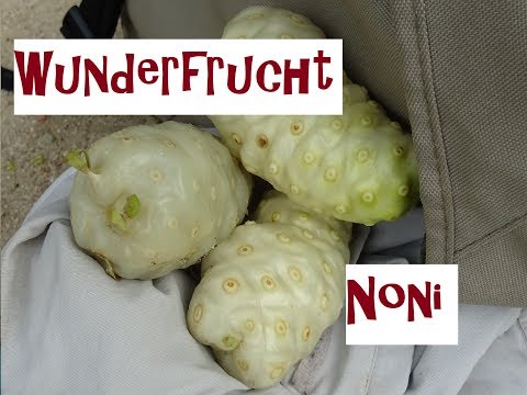 Video: Ist Noni-Saft sicher?