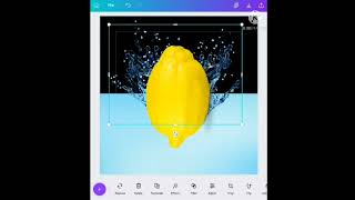 Watersplash Effect with Canva Pro screenshot 5