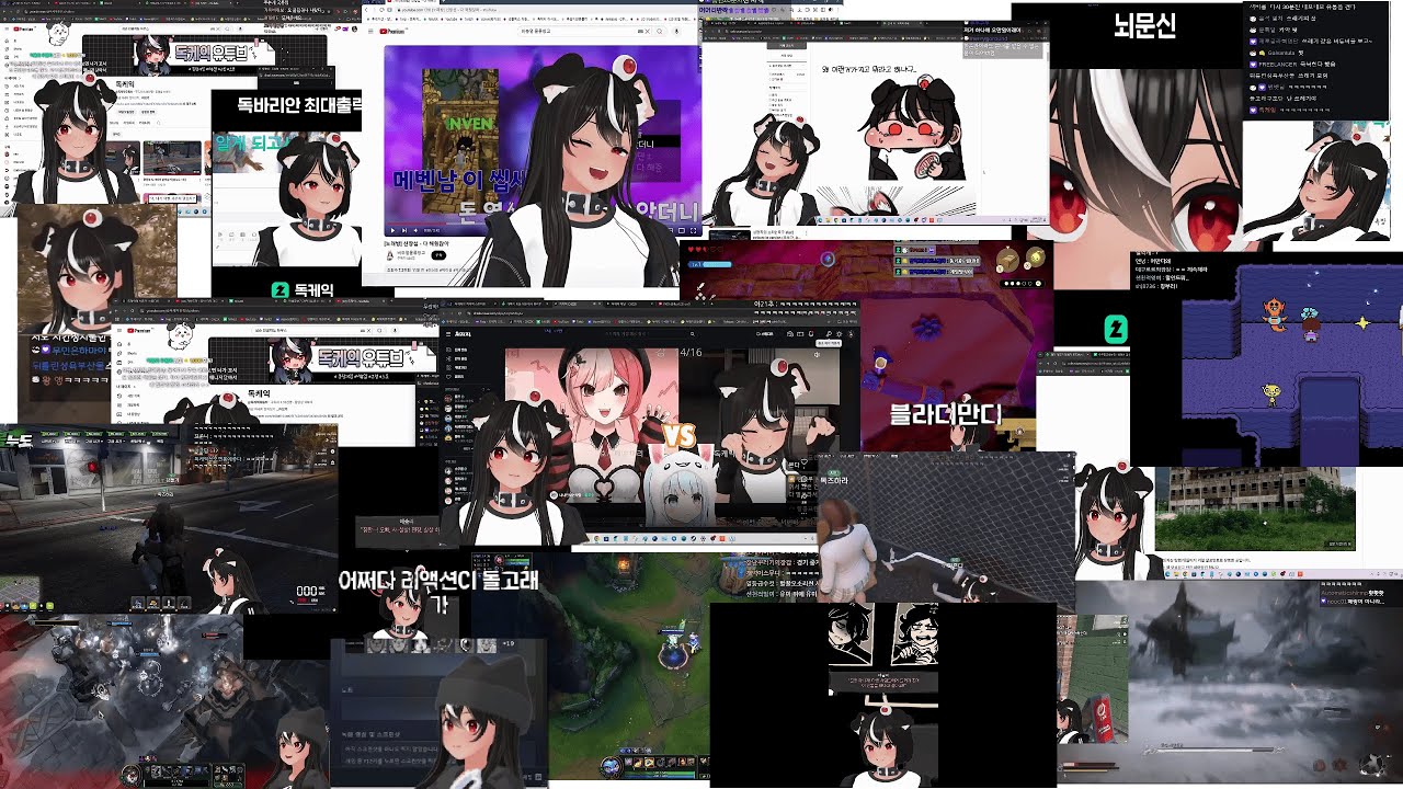 2024 독케익 클립모음