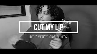 Cut My lip (cover)