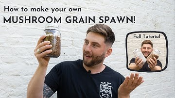 How to Make Mushroom Grain Spawn (Everything you need to know!)