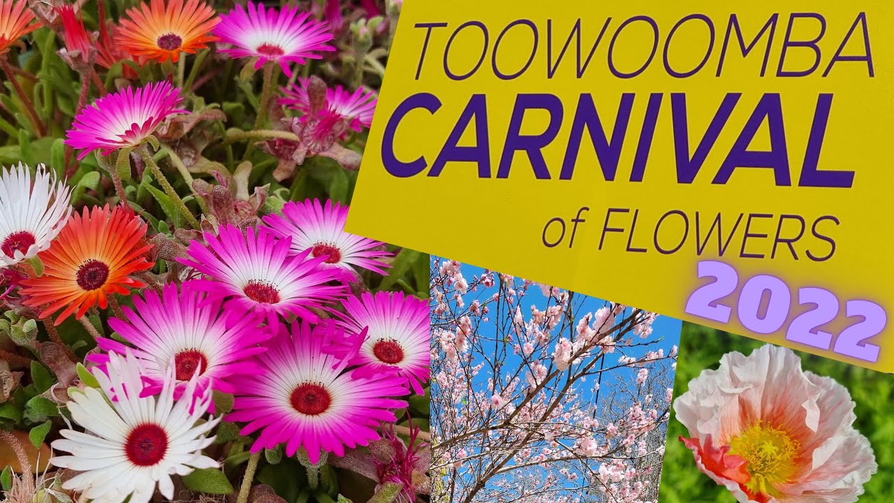 Beautiful Flowers & Gardens YouTube