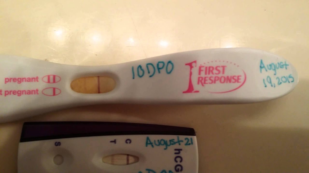 At How Many Weeks Can A Pregnancy Test Be Positive Pregnancywalls