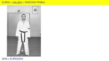 HAJ300 — FUCK IT WHO NEEDS MELODY