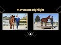 SOLD! MU Boot Scoot N Boogie – 2022 Stock Type Molly Mule – Movement Highlight